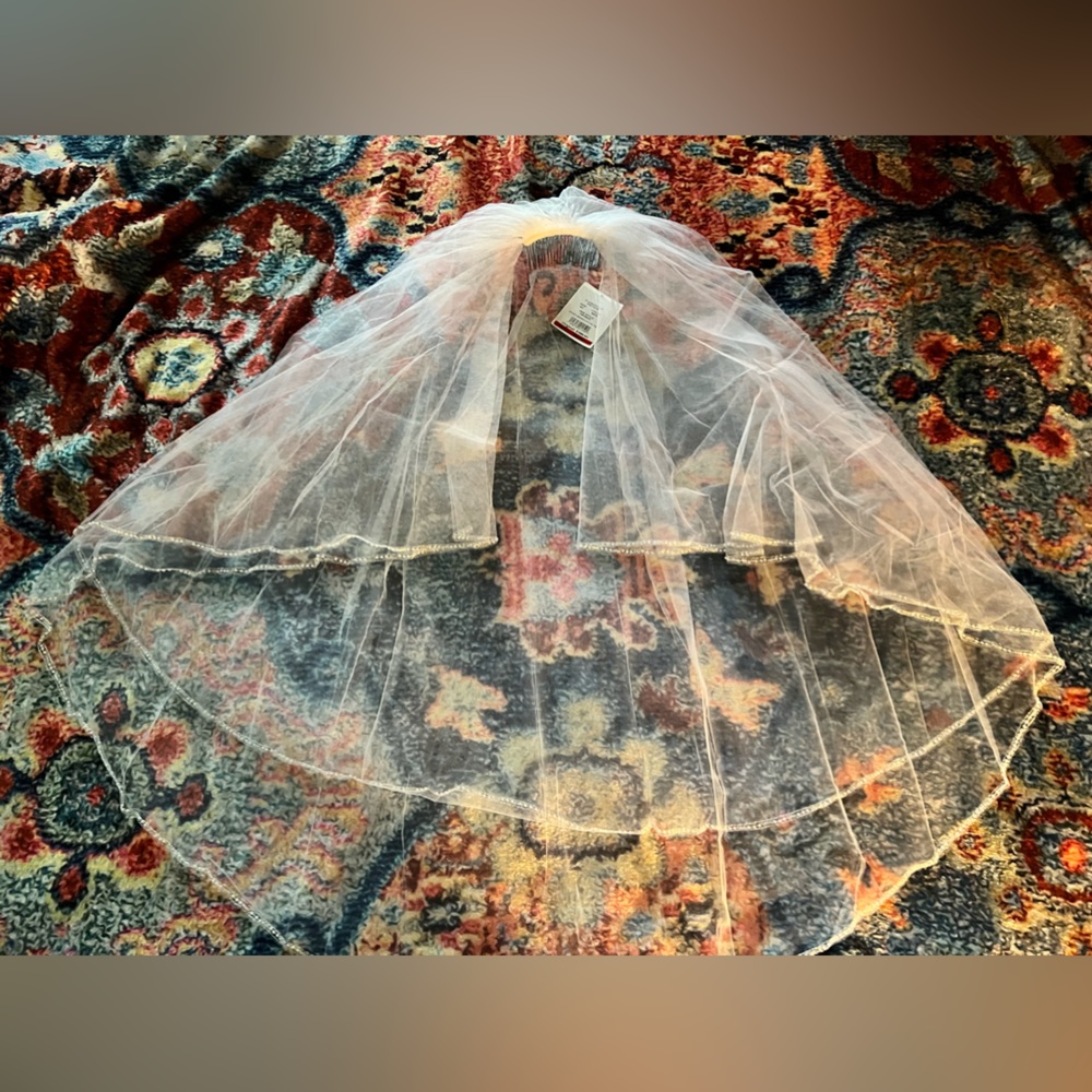 David’s Bridal Wedding veil